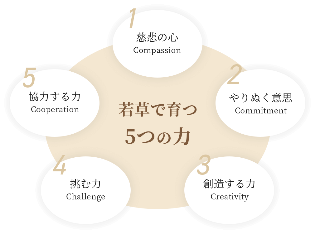 若草で育つ５つの力